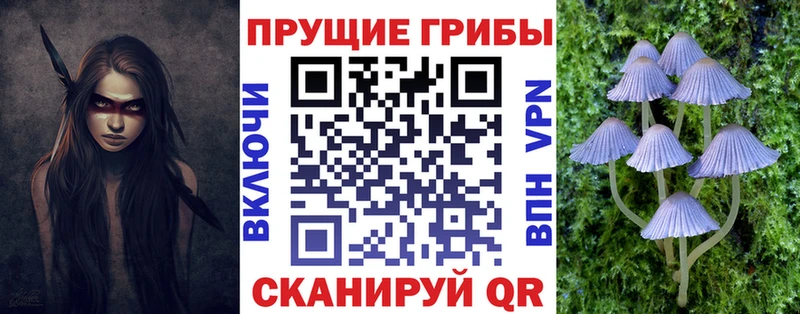 где можно купить наркотик  Ульяновск  Галлюциногенные грибы Magic Shrooms 